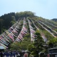DSCN7032